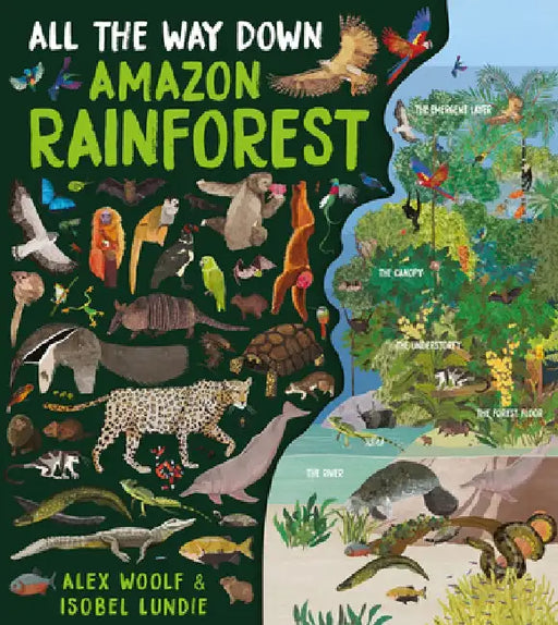 All the Way Down: Rainforest by Alex Woolf