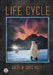 Life Cycle by Andrew Muff