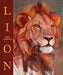 Lion by Mark Adlington