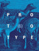 PROTOTYPE 6