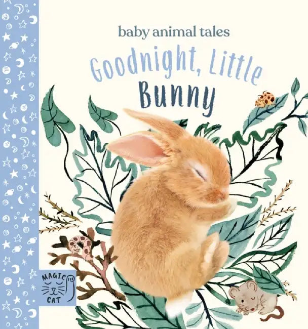 Goodnight, Little Bunny by Amanda Wood