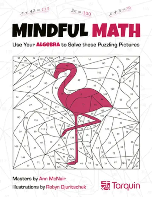 Mindful Math, Volume 1: Use Your Algebra to Solve These Puzzling Pictures by Ann McNair