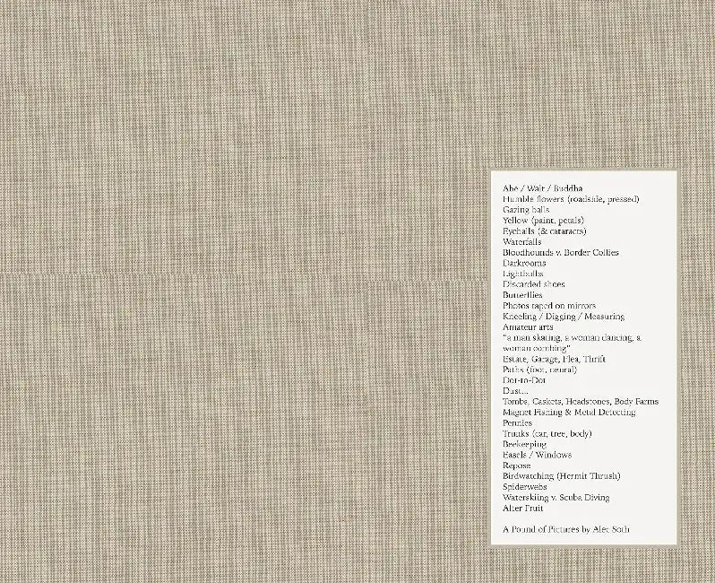 A Pound Of Pictures by Alec Soth