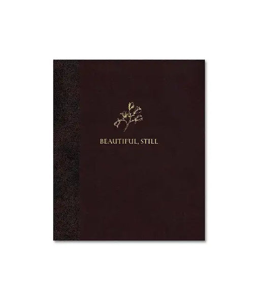 Beautiful Still. by Colby Deal