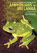 A Photographic Field Guide to the Amphibians of Sri Lanka by Dilan Chathuranga