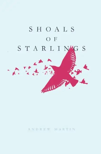 Shoals Of Starlings