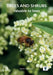 Trees and Shrubs Valuable to Bees by M. F. Mountain
