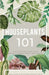 Houseplants 101: How to choose, style, grow and nurture your indoor plants by Peter Shepperd