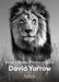 David Yarrow: How I Make Photographs by David Yarrow