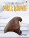 Polar Regions by Emily Kington