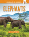 Elephants by Emily Kington
