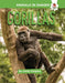 Gorillas by Emily Kington