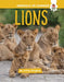 Lions by Emily Kington