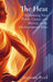 The Heat: Reclaiming Your Power, Career, and Identity in the Perimenopause Years by Suzanne Byrd