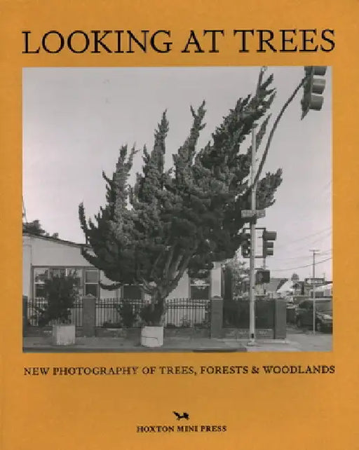 Looking at Trees: New Photography of Trees, Forests and Woodlands by Sophie Howarth