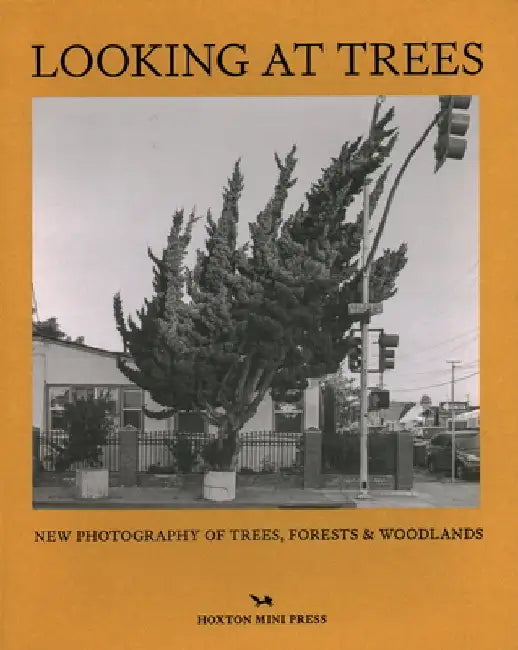 Looking at Trees: New Photography of Trees, Forests and Woodlands by Sophie Howarth