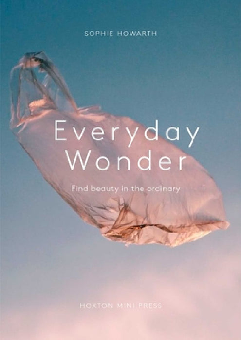 Everyday Wonder by Sophie Howarth