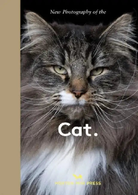 New Photography of the Cat. by Hoxton Mini Press