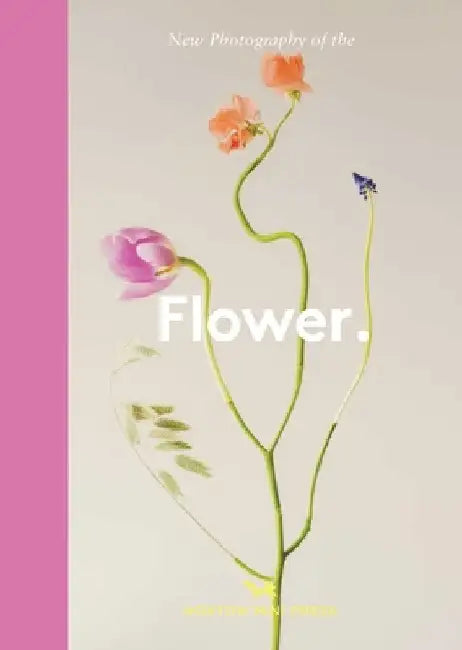 New Photography of the Flower. by Lucy Davies