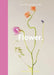 New Photography of the Flower. by Lucy Davies