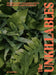 The Unkillables: 40 Resilient House Plants for New Plant Parents