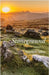 Stoneground by Allen, Stephen