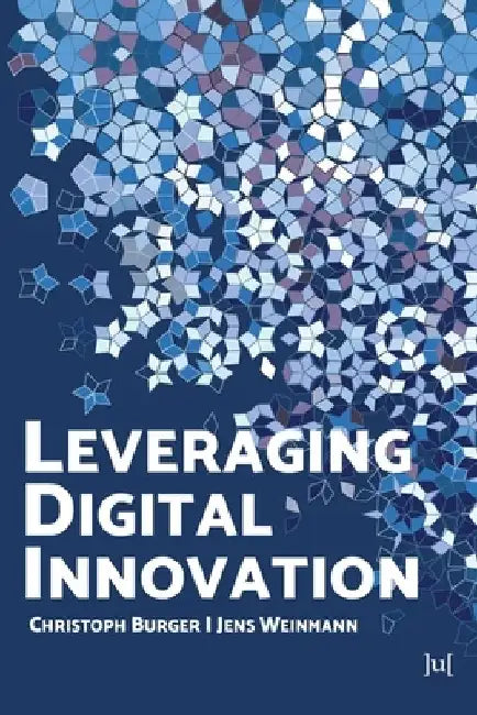 Leveraging Digital Innovation: Lessons for Implementation by Christoph Burger