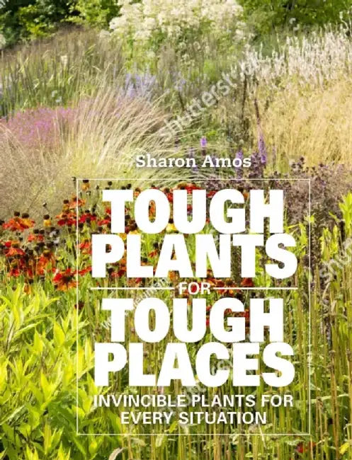 Tough Plants for Tough Places by Sharon Amos