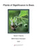 Plants of Significance to Bees by Stuart A. Roberts