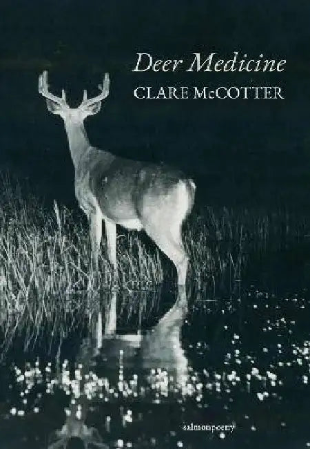 Deer Medicine by Clare McCotter