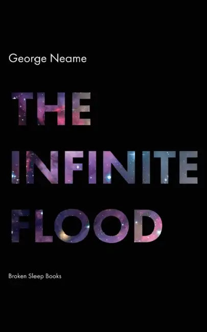 The Infinite Flood by George Neame
