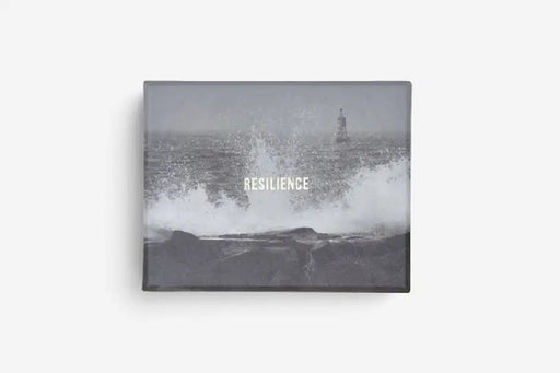 Resilience Cards: Become More Confident in the Face of Adversity by The School of Life