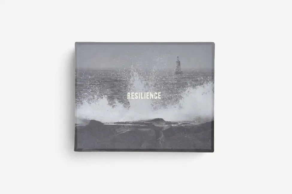 Resilience Cards: Become More Confident in the Face of Adversity by The School of Life