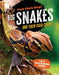 Big Snakes: And Their Food Chains by Katherine Eason