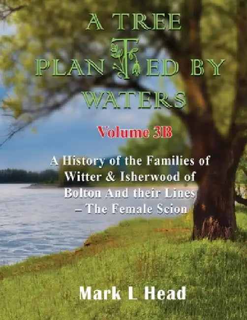 A Tree Planted By Waters: Volume 3-B by Mark L. Head