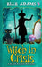 Witch in a Crisis by Elle Adams