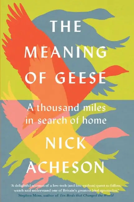 The Meaning of Geese by Nick Acheson