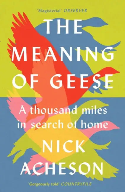 The Meaning of Geese by Nick Acheson