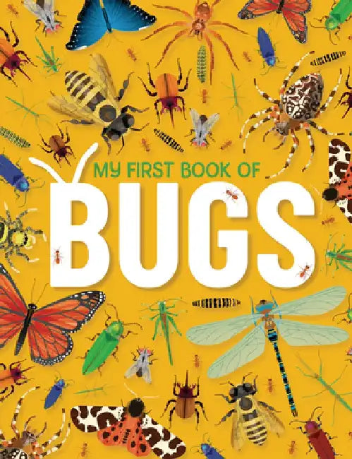 My First Book of Bugs: An Awesome First Look at Insects and Spiders by Emily Kington