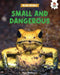 Small and Dangerous by Paul Stevenson