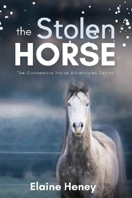 The Stolen Horse - Book 4 in the Connemara Horse Adventure Series for Kids The Perfect Gift for Children age 8-12 by Elaine Heney