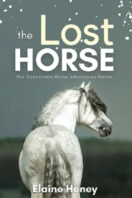 The Lost Horse - Book 6 in the Connemara Horse Adventure Series for Kids by Elaine Heney