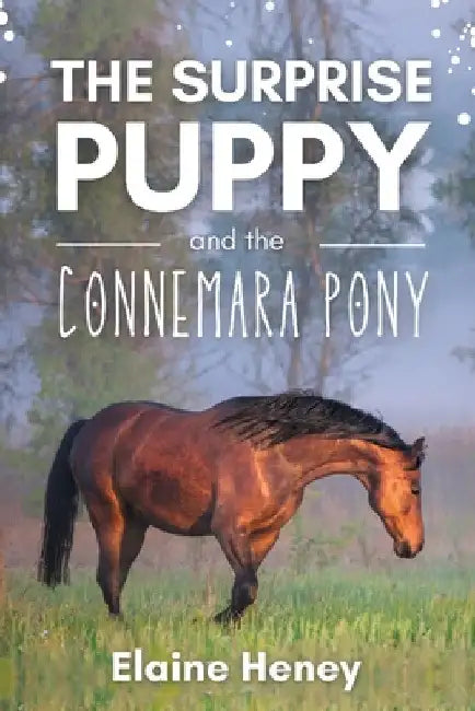 The Surprise Puppy and the Connemara Pony - The Coral Cove Horses Series by Elaine Heney