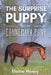 The Surprise Puppy and the Connemara Pony - The Coral Cove Horses Series by Elaine Heney