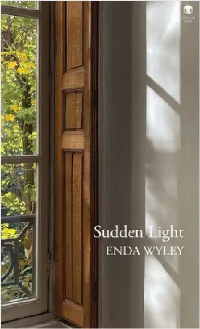 Sudden Light by Wyley, Enda