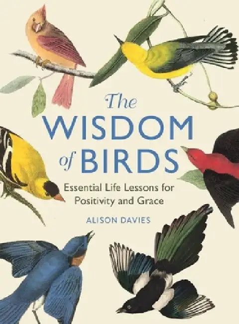 The Wisdom of Birds: Essential Life Lessons for Positivity and Grace by Alison Davies