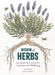 Wisdom of Herbs: Essential Life Lessons for Inspiration and Wellbeing by Alison Davies