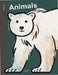 Spring Street Discover: Animals by Boxer Books
