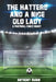 The Hatters and a Nice Old Lady: A Football Fan's Diary by Anthony Rubin