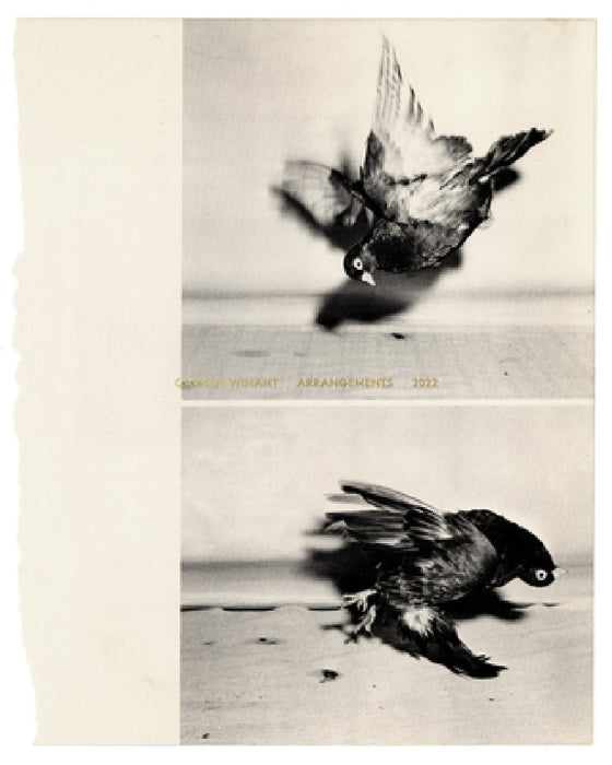 Carmen Winant: Arrangements by Carmen Winant